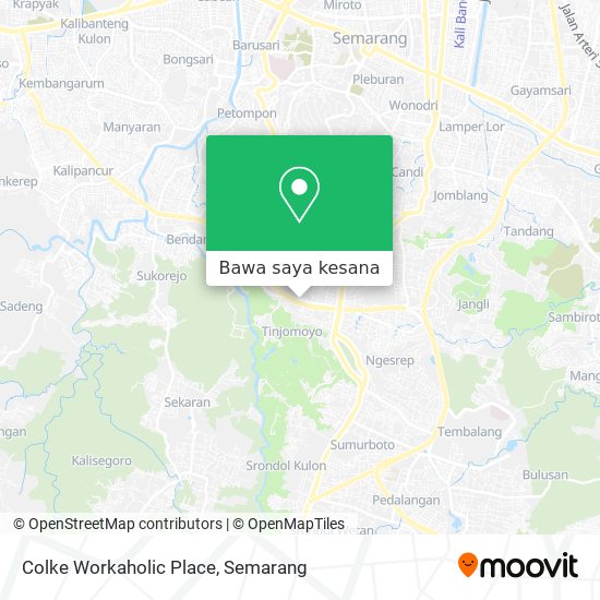 Peta Colke Workaholic Place