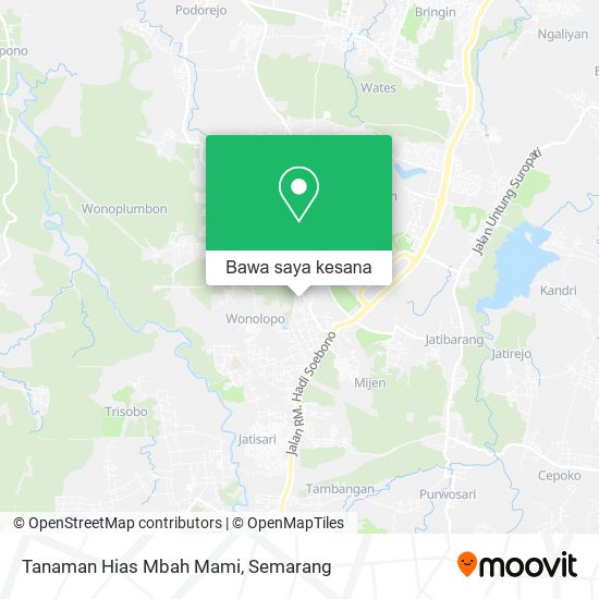 Peta Tanaman Hias Mbah Mami