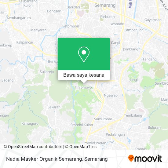 Peta Nadia Masker Organik Semarang