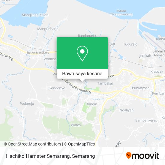 Peta Hachiko Hamster Semarang