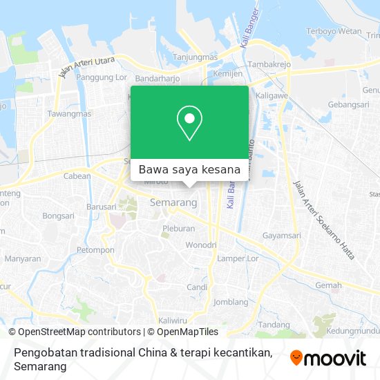 Peta Pengobatan tradisional China & terapi kecantikan