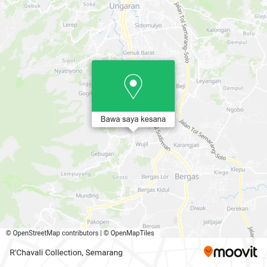 Peta R'Chavali Collection