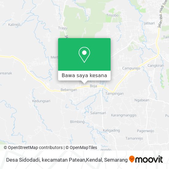 Peta Desa Sidodadi, kecamatan Patean,Kendal