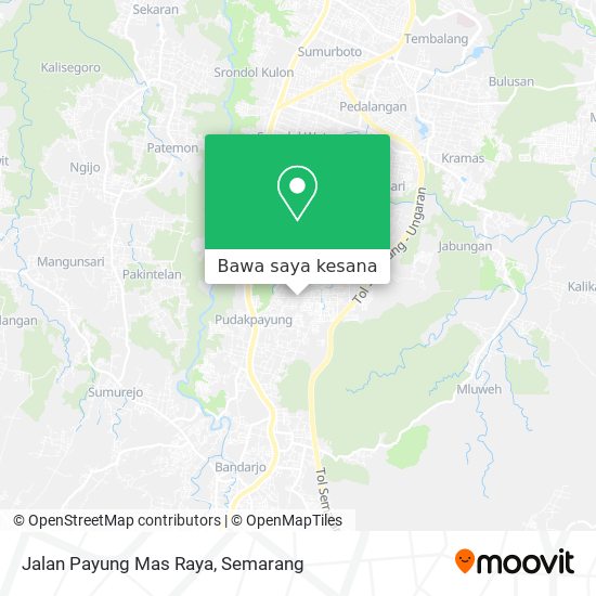 Peta Jalan Payung Mas Raya