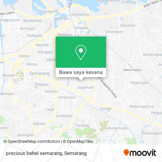 Peta precious behel semarang