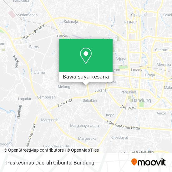 Peta Puskesmas Daerah Cibuntu