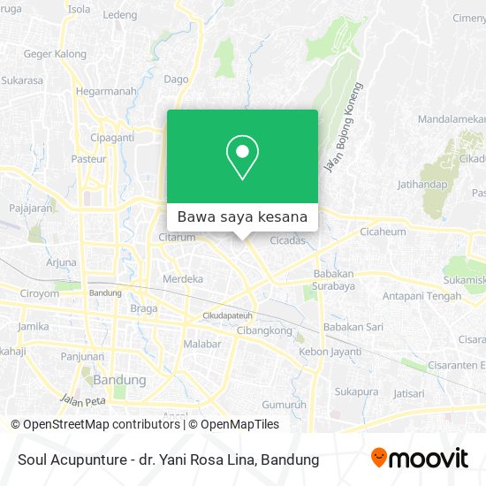 Peta Soul Acupunture - dr. Yani Rosa Lina