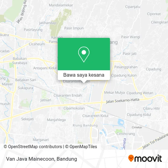 Peta Van Java Mainecoon