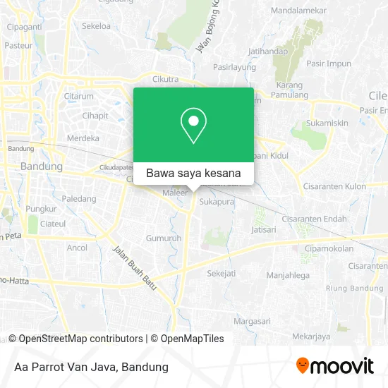 Peta Aa Parrot Van Java