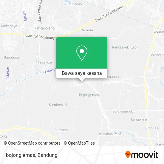 Peta bojong emas