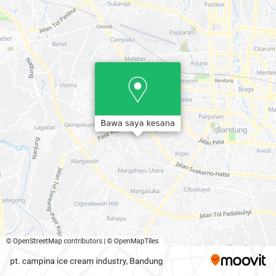 Peta pt. campina ice cream industry