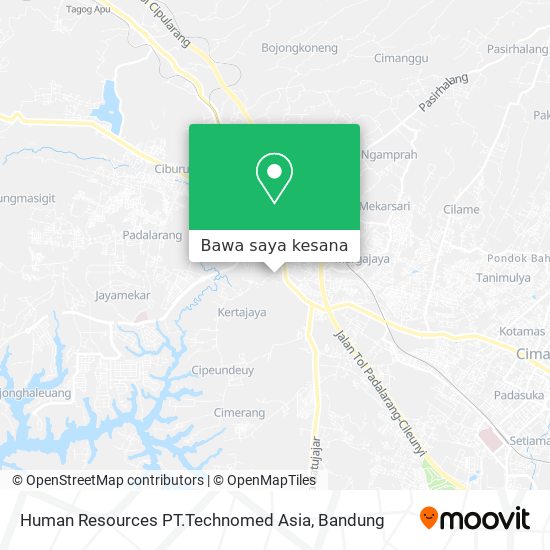 Peta Human Resources PT.Technomed Asia