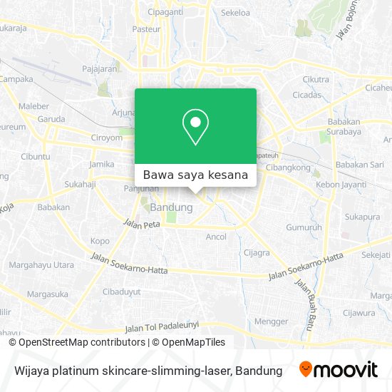 Peta Wijaya platinum skincare-slimming-laser