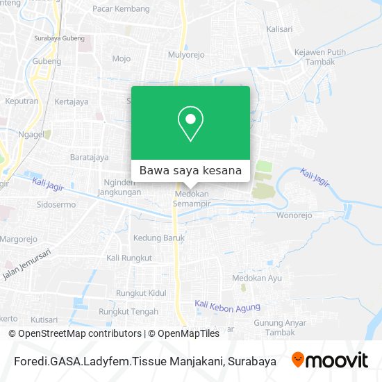 Peta Foredi.GASA.Ladyfem.Tissue Manjakani