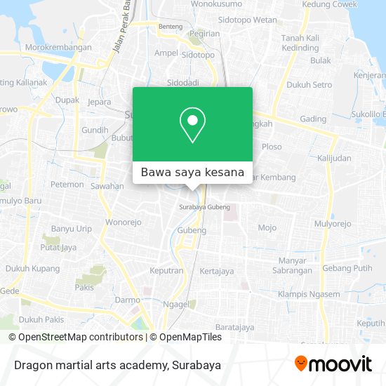 Peta Dragon martial arts academy