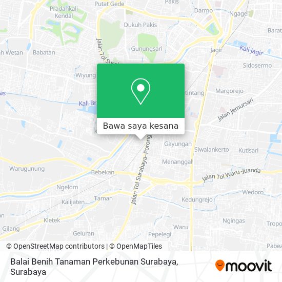 Peta Balai Benih Tanaman Perkebunan Surabaya