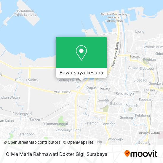 Peta Olivia Maria Rahmawati Dokter Gigi