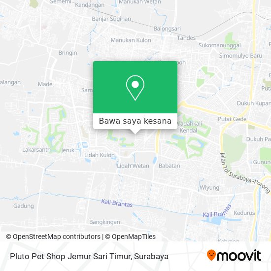 Peta Pluto Pet Shop Jemur Sari Timur