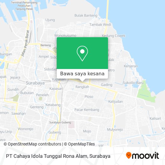 Peta PT Cahaya Idola Tunggal Rona Alam