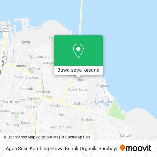 Peta Agen Susu Kambing Etawa Bubuk Organik