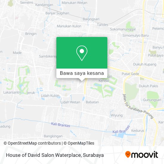 Peta House of David Salon Waterplace