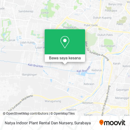 Peta Natya Indoor Plant Rental Dan Nursery