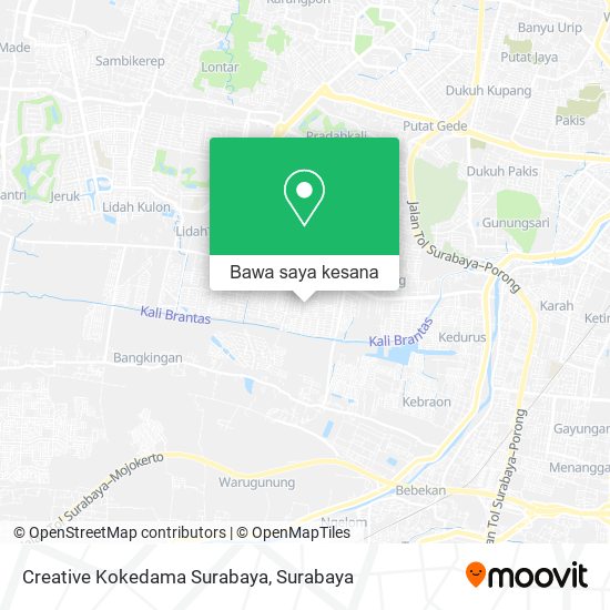 Peta Creative Kokedama Surabaya