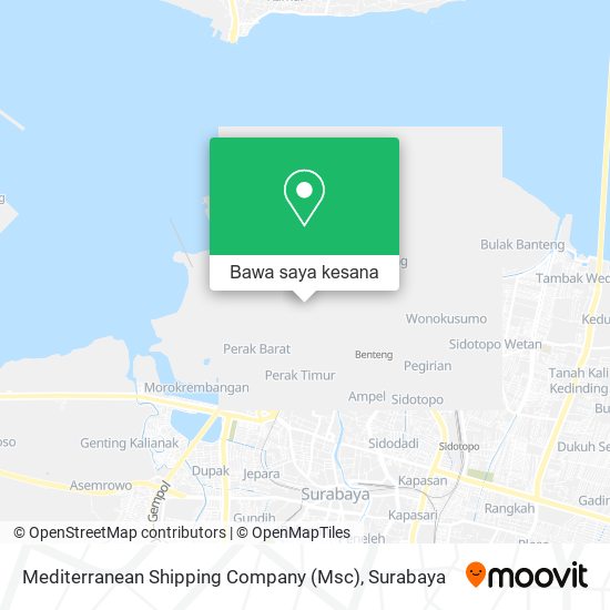 Peta Mediterranean Shipping Company (Msc)