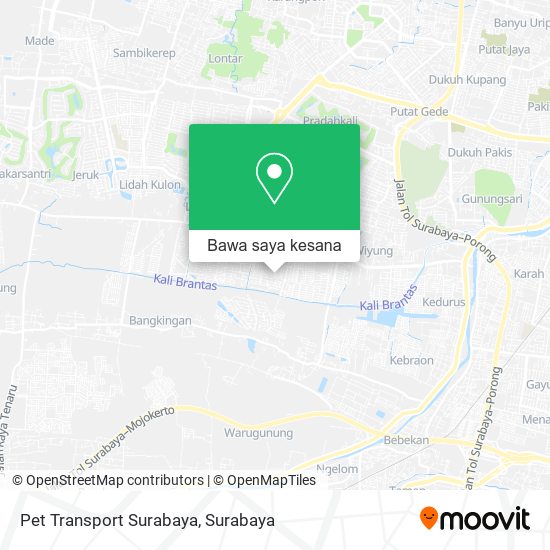 Peta Pet Transport Surabaya