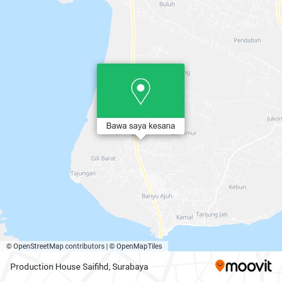 Peta Production House Saifihd