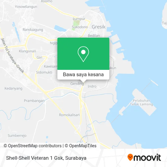 Peta Shell-Shell Veteran 1 Gsk