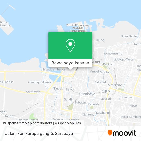 Peta Jalan ikan kerapu gang 5