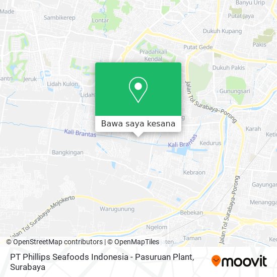 Peta PT Phillips Seafoods Indonesia - Pasuruan Plant