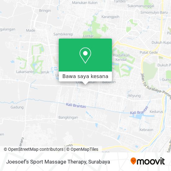 Peta Joesoef's Sport Massage Therapy