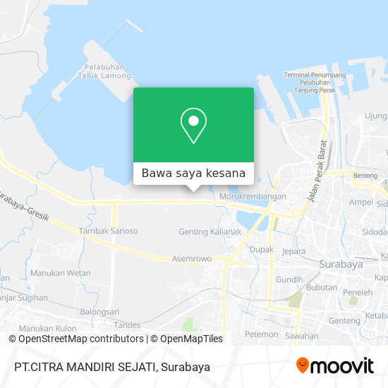 Peta PT.CITRA MANDIRI SEJATI