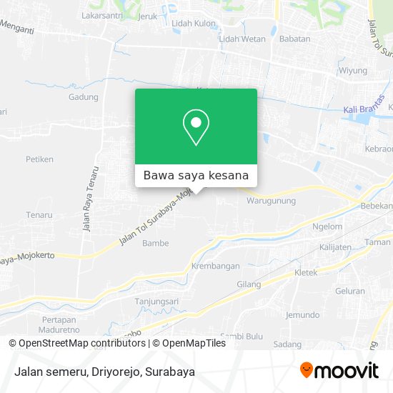 Peta Jalan semeru, Driyorejo