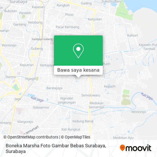 Peta Boneka Marsha Foto Gambar Bebas Surabaya