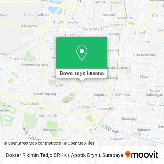 Peta Dokter Rikimin Tedjo SP.KK ( Apotik Dryn )