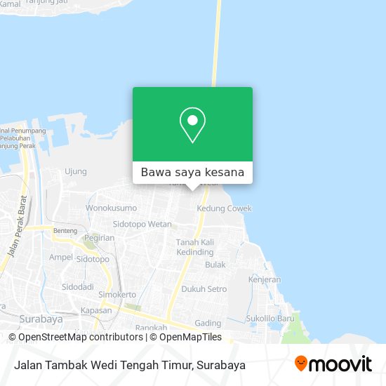 Peta Jalan Tambak Wedi Tengah Timur