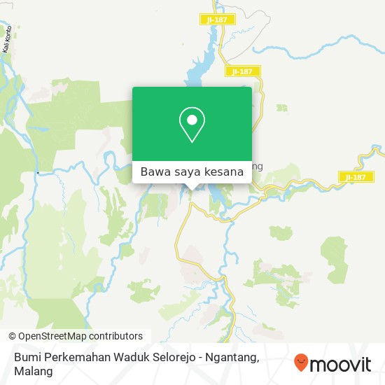 Peta Bumi Perkemahan Waduk Selorejo - Ngantang