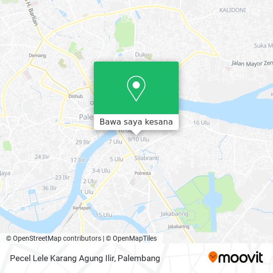 Peta Pecel Lele Karang Agung Ilir