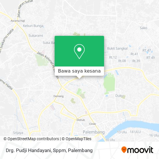 Peta Drg. Pudji Handayani, Sppm