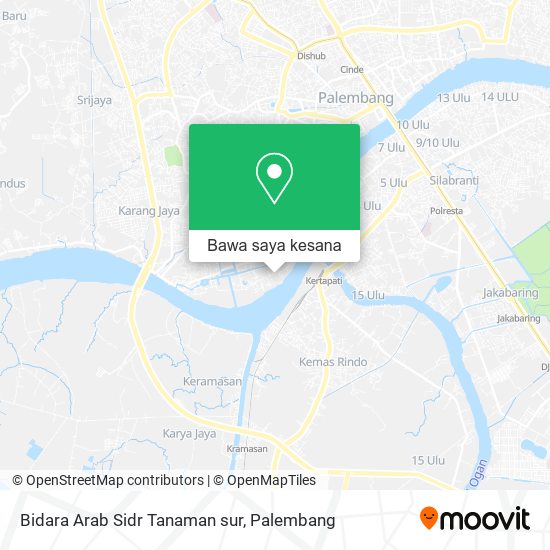 Peta Bidara Arab Sidr Tanaman sur