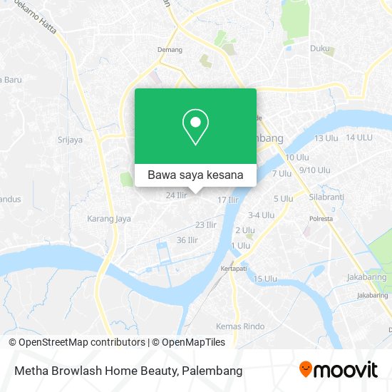 Peta Metha Browlash Home Beauty