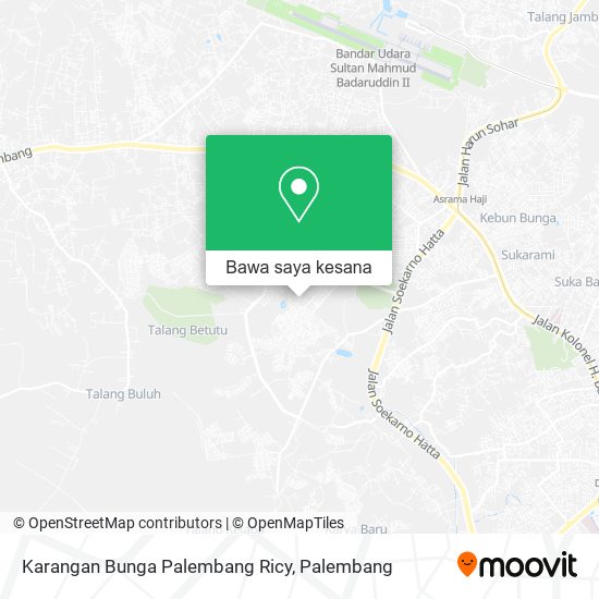 Peta Karangan Bunga Palembang Ricy