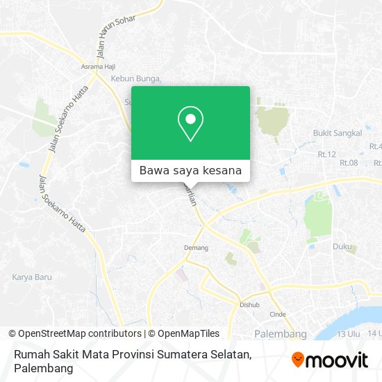 Peta Rumah Sakit Mata Provinsi Sumatera Selatan