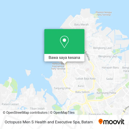 Peta Octopuss Men S Health and Executive Spa