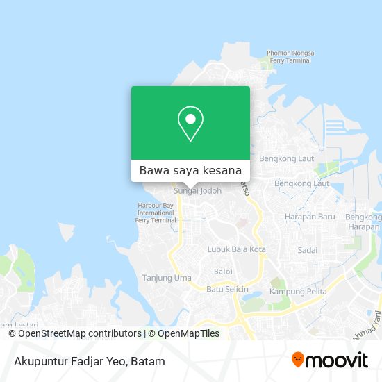 Peta Akupuntur Fadjar Yeo