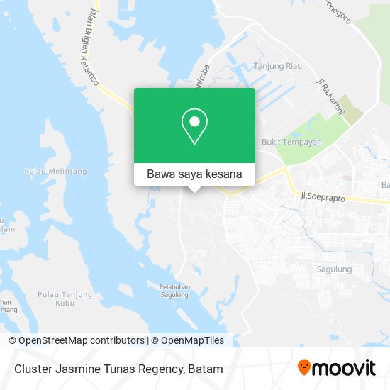 Peta Cluster Jasmine Tunas Regency