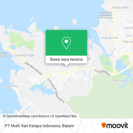 Peta PT Multi Sari Kelapa Indonesia